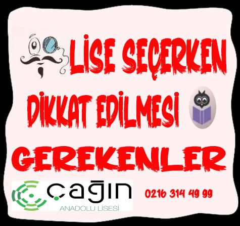 Hangi Lise?